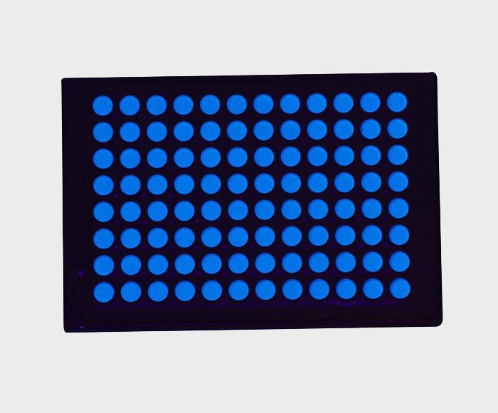 COV_091A0119-Edit-web